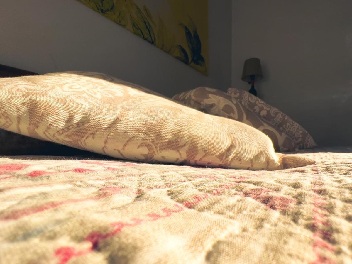 Tenuta Monteoliveto - Family Cottage - Agriturismo Nelle Langhe Vesime ภายนอก รูปภาพ