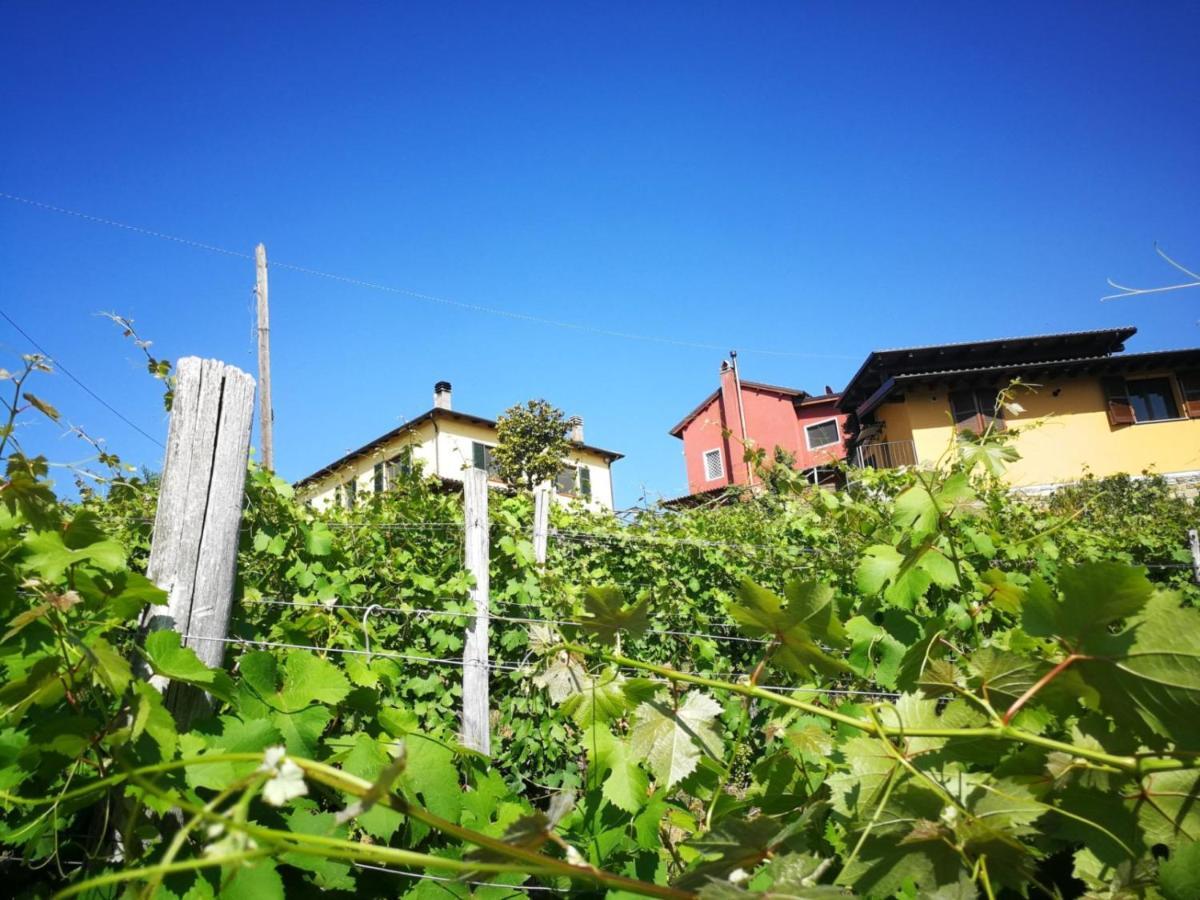 Tenuta Monteoliveto - Family Cottage - Agriturismo Nelle Langhe Vesime ภายนอก รูปภาพ